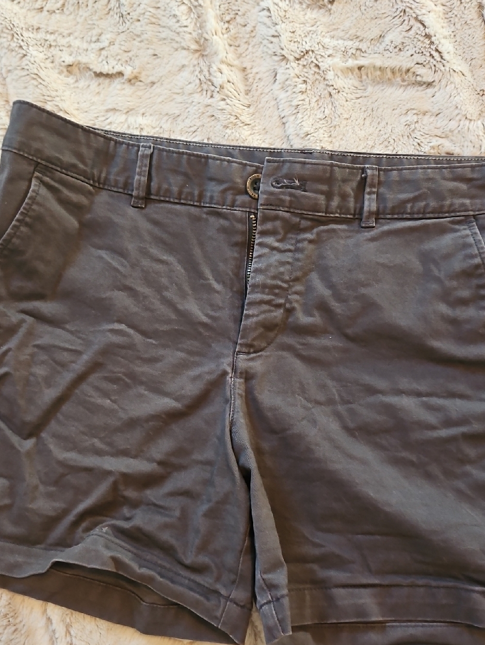 Eddie Bauer LegendWash Stretch Shorts in Charcoal